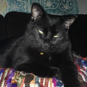 Meet your Posher, Kierstyn